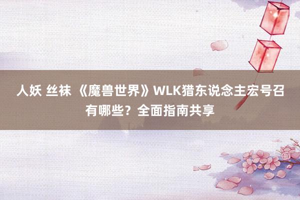 人妖 丝袜 《魔兽世界》WLK猎东说念主宏号召有哪些？全面指南共享