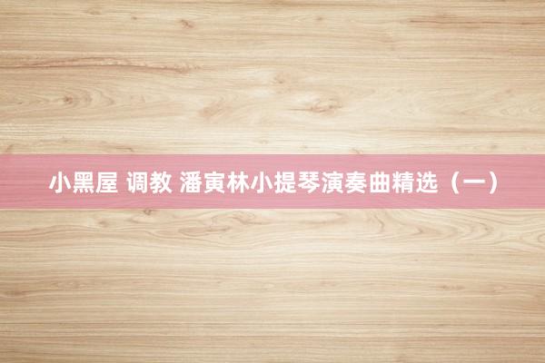 小黑屋 调教 潘寅林小提琴演奏曲精选（一）
