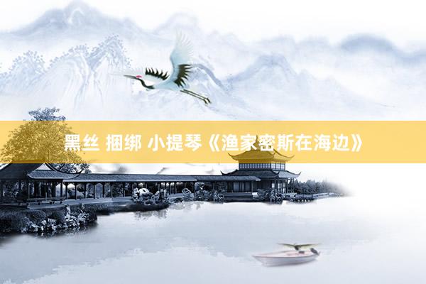 黑丝 捆绑 小提琴《渔家密斯在海边》